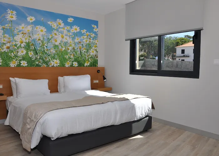 酒店 Boutique 圣克鲁斯